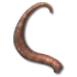 Rattail.png