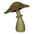 Medmushroom.png