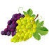 File:Grape.png