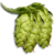 Hop.png