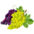Grape.png